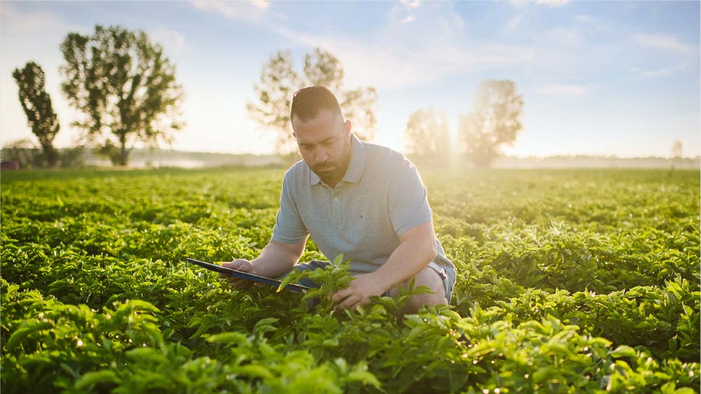 farmer